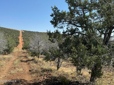 024 Parcel 205-20-024 Pineveta Rd, Ash Fork, AZ 86320 - photo 7