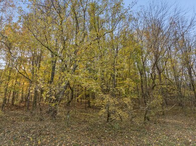 0 Cookeville Hwy unit RTC3043811, Elmwood, TN 38560 - photo 7