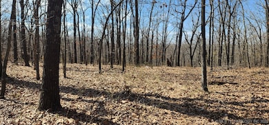 13780 S 4220 Rd, Claremore, OK 74017 - photo 5