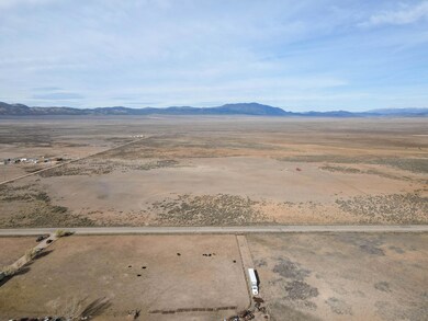 DJI_0455