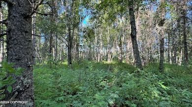 Woods