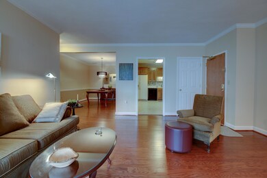 _MG_2537_8_9