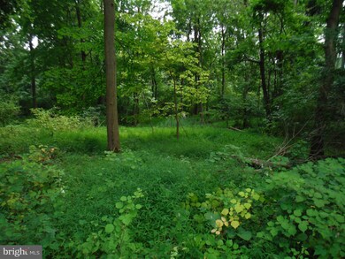 0 Girard Ave unit PABK2002826, Reading, PA 19609 - photo 5