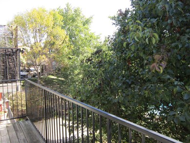 View From Deck