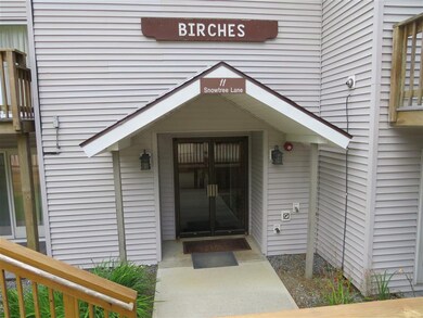 11 B Snowtree Birches Common unit 11 B, Dover, VT 05356 - photo 6