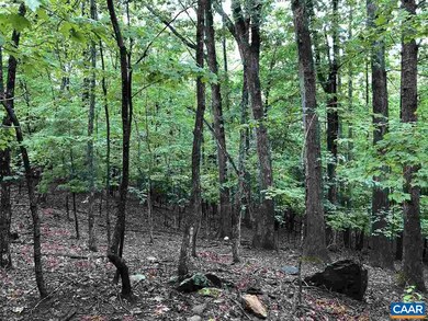 280 Foothills Dr, Nellysford, VA 22958 - photo 3