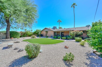 Backyard Corner View