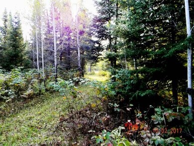 ON Tappa Rd, Deerbrook, WI 54424 - photo 7