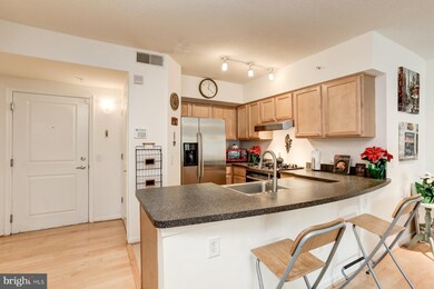 The Aurora Condominiums unit 212, Silver Spring, MD 20910 - photo 4