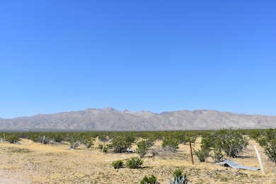 0 Yerba Blvd & S O Harriet Ave unit 25008995, Mojave, CA 93501 - photo 4