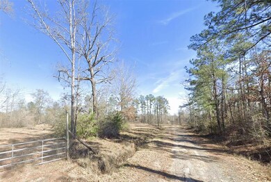 0 Pevoto Rd, Starks, LA 70661 - photo 5