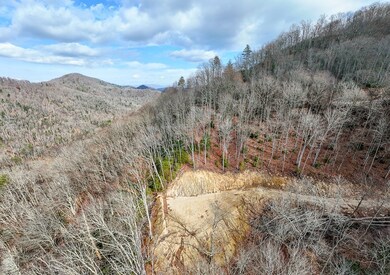 Lot 20 Walnut Cove Branch, Robbinsville, NC 28771 - photo 5