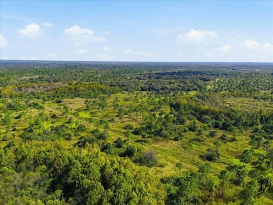 22305 Shoults Gr, Immokalee, FL 34142 - photo 6