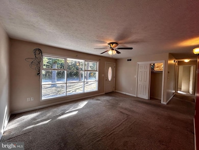 985 Tasker Rd, Stephens City, VA 22655 - photo 5