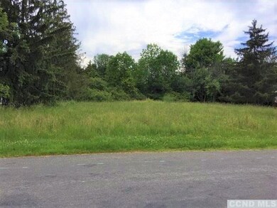 0 Constantine Ct unit 136708, Athens, NY 12015 - photo 6