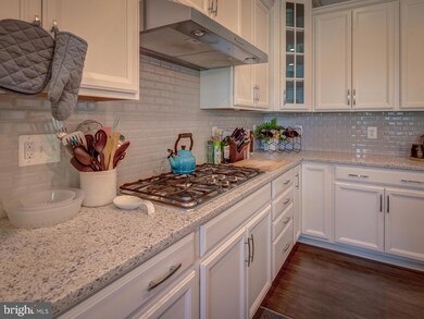 42610 Lisburn Chase Terrace, Chantilly, VA 20152 - photo 6