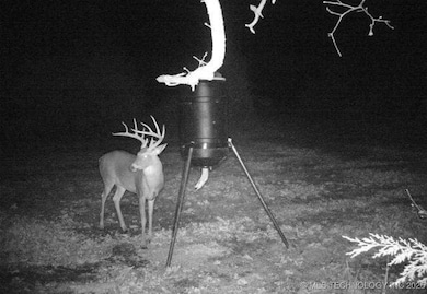 0 Mayes unit 2548587, Adair, OK 74330 - photo 4