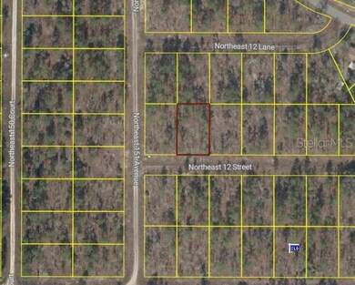 0 Tbd Ne 12 St, Williston, FL 32696 - photo 3