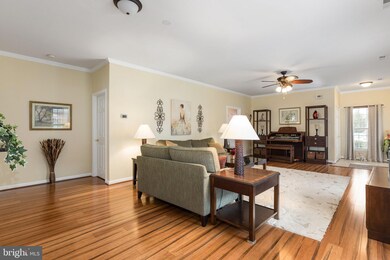 7110 Radford Dr, Fredericksburg, VA 22407 - photo 7