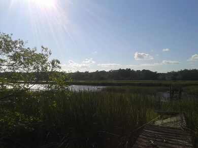 Edge of creek. Old dock