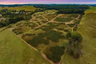 594 Hewitt Rd, Swoope, VA 24479 - photo 3