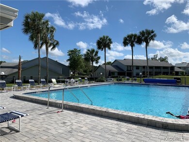 810 E Gilchrist Ct unit 3A, Hernando, FL 34442 - photo 3