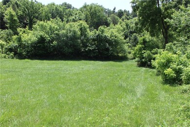 Natural growth barrier blocks view of Rolling Hills Roadway