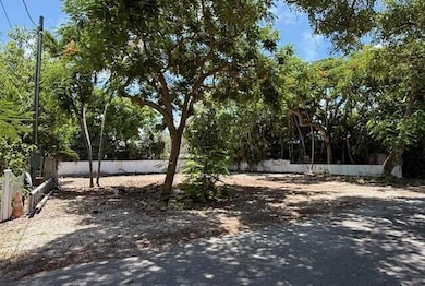 1220-1222 Seminary St, Key West, FL 33040 - photo 2