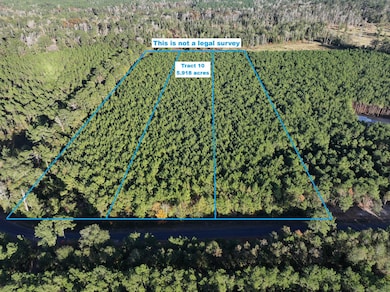 Smyrna aerial 1 with border tract 10