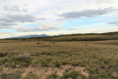 TBD Ruby Ct, Dillon, MT 59725 - photo 4