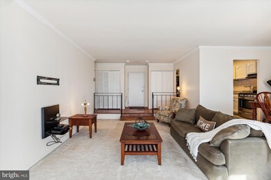 Americana Finnmark unit 706, Silver Spring, MD 20902 - photo 7