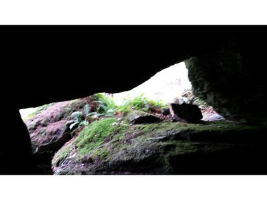 1 Bear Mt Rd, Hebron, NH 03241 - photo 5