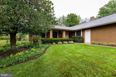 20413 Cherrystone Ct, Montgomery Village, MD 20886 - photo 4