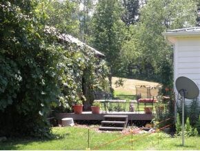 Back deck with grape vines