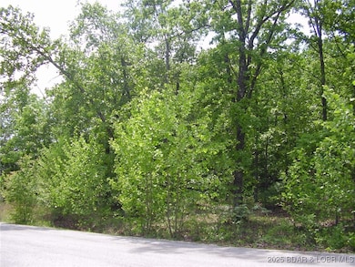 26 Silver Spur Ct, Camdenton, MO 65020 - photo 4