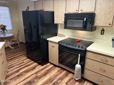 14203 N Palm Ridge Dr W, Sun City, AZ 85351 - photo 6