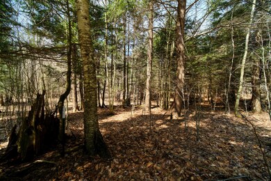 0 Opal Ridge Dr unit 21012894, Onekama, MI 49675 - photo 4