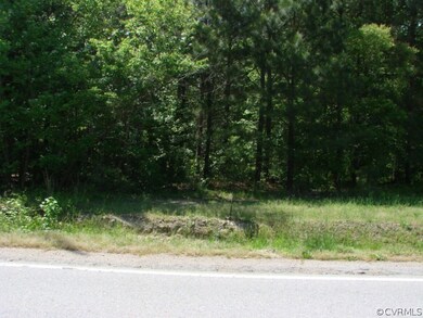 40.29 acres S Crater Rd, North Dinwiddie, VA 23805 - photo 3