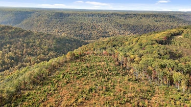 Roberts Road, Spencer, TN 38585