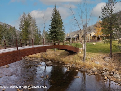 100 Difficult Ln, Aspen, CO 81611 - photo 5