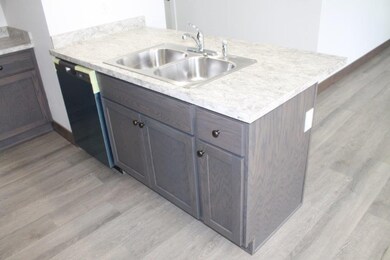 Kitchen sink