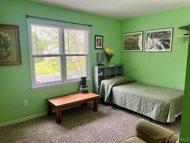 Bedroom with carpet flooring and multiple windows