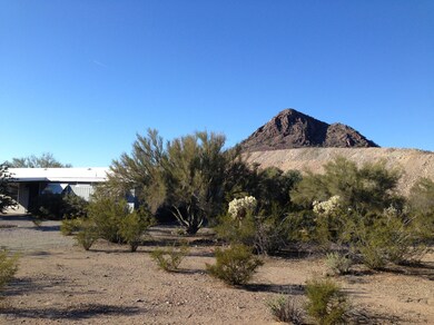 Mature desert