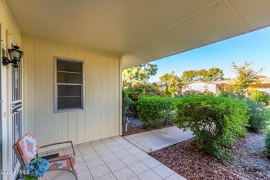 10536 W Highwood Ln, Sun City, AZ 85373 - photo 6