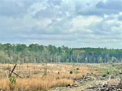 0 Lower Myrick Rd, Laurel, MS 39443 - photo 2