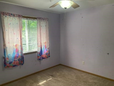 13859 E Lake Jasper Ave S, Newton, IL 62448 - photo 5