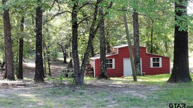 13807 Big Oak Bay Rd, Tyler, TX 75707 - photo 4