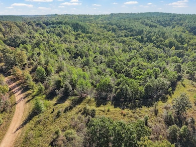 0 Shores Trail unit RTC2957908, Stewart, TN 37175 - photo 6