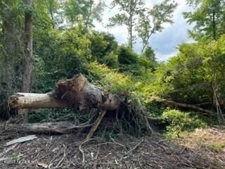 Wooded lot 7d