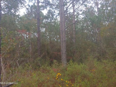 43 E Tate St, Bay Saint Louis, MS 39520 - photo 2